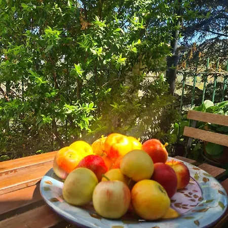 Erato By Agroholidays *